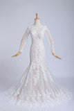 2024 Bateau Long Sleeves Wedding Dress Mermaid/Trumpet Court Trian With P6Q27YTX