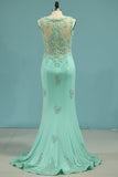 2024 Prom Dresses Mermaid Scoop Spandex With Applique PTMA81RP