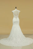 2024 Wedding Dresses V Neck Cap Sleeve With Applique PGMFL4AK