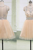 2024 New Arrival Scoop Neck A Line Tulle Homecoming Dresses PYMMLBQS