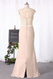 2024 Sheath/Column Mother Of The Bride Dresses P2DAM9TT