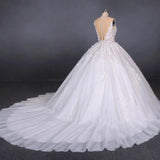 Princess Ball Gown Sheer Neck White Wedding Dresses Lace Appliqued Bridal Dresses STK15293