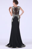 2024 Prom Dresses Mermaid Scoop Spandex With Applique PL45T1SR