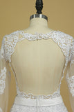 2024 Hot Wedding Dresses Scoop Long Sleeves With Applique & Sash P82PBBSG