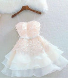 Cute A Line Sweetheart Spaghetti Straps Blush Pink Homecoming Dresses with Appliques