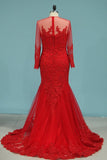 2024 Prom Dresses Mermaid/Trumpet Tulle Bateau Court Train With Applique PLBSQD3R