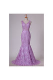 2024 V-Neck Tulle Evening PTLKS4BY