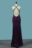 2024 Mermaid Prom Dresses Tulle Scoop Open Back With Applique P6BTB9KR