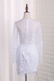 2024 Scoop Long Sleeves Wedding Dresses Tulle & Organza With Applique PGNQDBY7