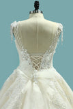 2024 Luxury Wedding Dresses A-Line Cap Sleeves Open Back Tulle PB4CN4LG