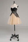 2024 A Line Sweetheart Homecoming Dresses Tulle & Lace Short/Mini PA8BDRHC