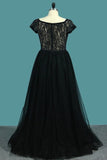 2024 V Neck Short Sleeves A Line Evening Dresses Tulle & Lace PPG7LZ27