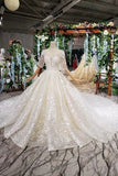 2024 Ball Gown Wedding Dresses Scoop Half Sleeves Appliques 2 PGJ633GZ