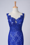 2024 Evening Dresses Bateau Mermaid With Deep V Shape Back Lace&Tulle Dark Royal PZ7783AA