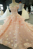 2024 Pink Wedding Dresses Lace Up With Handmade Flower PFQLD3G9