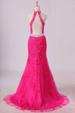 2024 High Neck Open Back Sheath Prom Dresses Tulle With Applique And P59E1Q26