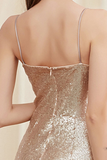 Champagne Long Mermaid Prom Dress with Sequins