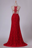 2024 Scoop Mermaid/Trumpet Prom Dresses With Applique Burgundy/Maroon Lace PXQ7H56J