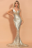 Glitter V-Neck Mermaid Prom Dress Evening Dress