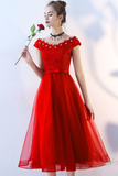 A-Line V-Neck Prom Dress with Appliques