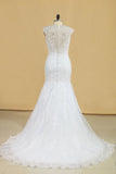 2024 Plus Size Mermaid Wedding Dresses V Neck With Beads And Applique Court Train PD7P5SFG