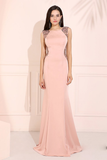 Elegant Pink Prom Dress Open Back Evening Dress