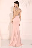 Elegant Pink Prom Dress Open Back Evening Dress