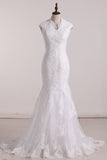 2024 Mermaid V Neck Wedding Dresses Tulle With Applique And Sash P3P818HQ