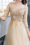 2024 Scoop 3/4 Length Sleeves A Line Tulle With Applique Prom Dresses