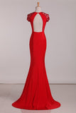 2024 Scoop Evening Dresses Mermaid Spandex With PY5SX4AA