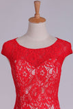 2024 Lace Bateau Homecoming Dress A Line Red P3BA63P1