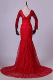 2024 V-Neck Evening Dresses Mermaid With Applique Lace And Tulle PSBPLZZ8