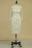 2024 Mother Of The Bride Dresses Sheath With Applique 3/4 Length P3B58ELJ