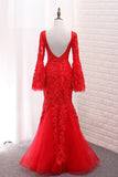 2024 V Neck Long Sleeves Tulle Evening Dresses Mermaid PSSDPZ4Z