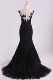 2024 Mermaid Evening Dresses Bateau Tulle With Applique Sweep Train Color PNS36BGN