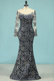 2024 Bling Bling Evening Dresses Mermaid Scoop Sweep/Brush Sequins Lace PH2SY3PP