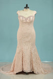 2024 Lace Sweetheart With Beading And Applique Prom PS9P1TZJ