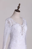 2024 V-Neck 3/4 Length Sleeve Wedding Dresses Mermaid Tulle With Beads And Applique PZNLFRB8