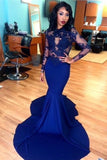 2024 Long Sleeve Evening Dresses Mermaid/Trumpet Elastic Satin With P7NF14SJ