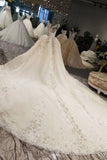 2024 Champagne Wedding Gown V Neck Royal Train Handmade Beading Lace P8D2ABGJ