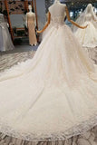 2024 Luxury Wedding Dresses Halter A-Line Lace Half Sleeves Open Back Cathedral Train Top PS5BQBT1