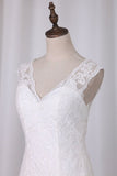 2024 Mermaid V Neck Wedding Dresses Tulle With Applique Chapel PH5GH3C7