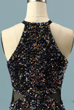 Glitter Sequin Halter Homecoming Dress