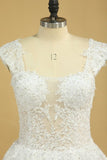 2024 Plus Size Bridal Dresses A-Line Off The Shoulder Tulle Court Train White Zipper P32KJLPZ