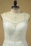 2024 Spaghetti Straps A Line Wedding Dresses P7A15A1X