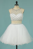 2024 Hot Selling Homecoming Dresses Scoop A-Line Beaded Bodice PPB8XCJ7