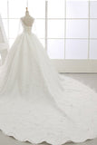 2024 Long Sleeves Wedding Dresses V Neck With Applique Organza Cathedral PTSRQCQ1