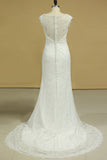 2024 Lace Wedding Dresses Sheath V-Neck Court Train Beaded P5JJ3G9M