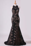 2024 Black Halter Prom Dresses Mermaid Lace Floor Length Open P26T6GPB