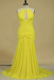 2024 Prom Dress Halter Pleated Bust & Bodice With Shirred Chiffon Skirt Sweep PH6L3QP8